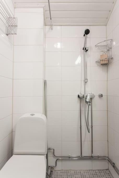 Kodikas Huoneisto Helsingin Keskustassa Apartment Хелзинки Екстериор снимка
